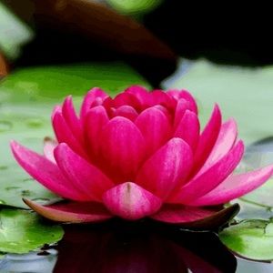 Meet your Posher, Ava